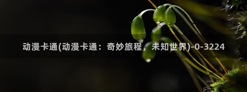 age动漫