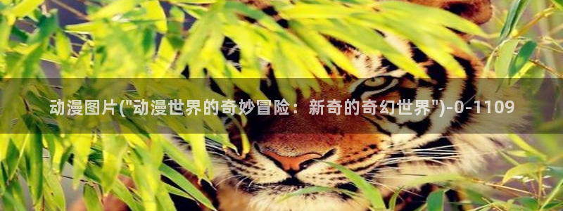 av动漫