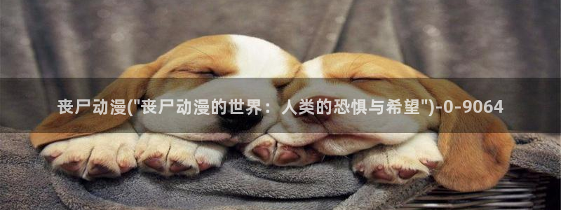 新世界动漫网