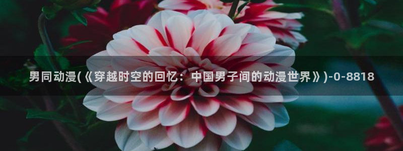 神印王座动漫