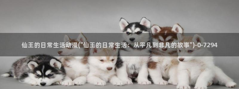 动漫美女泳装：仙王的日常生活动漫(\