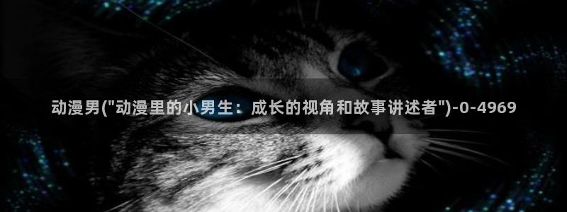 高h动漫