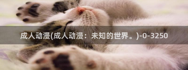 在线看动漫